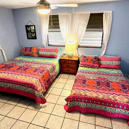 Esperanza Inn Guesthouse (Adults Only) В'єкес Номер фото