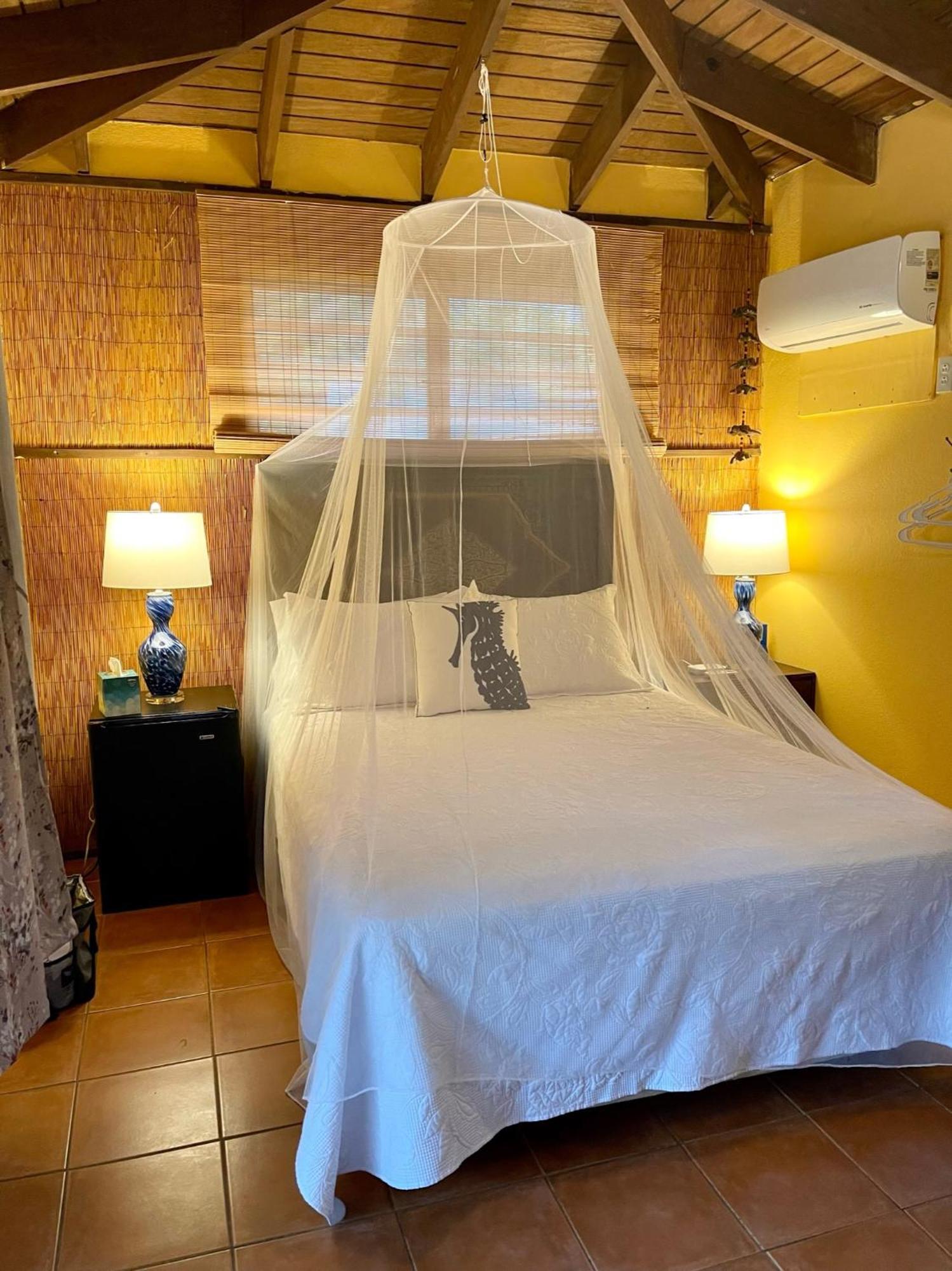 Esperanza Inn Guesthouse (Adults Only) В'єкес Номер фото