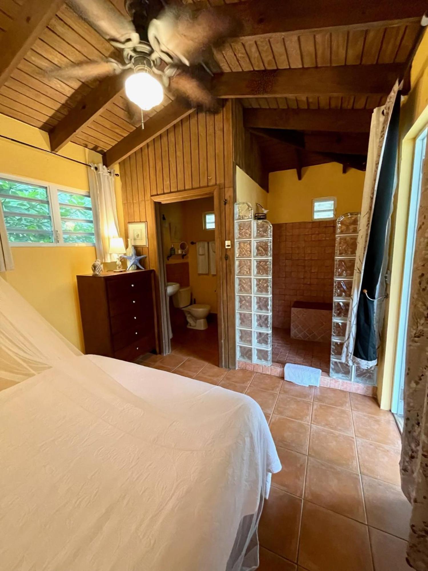 Esperanza Inn Guesthouse (Adults Only) В'єкес Номер фото